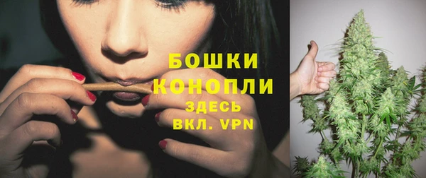 МДПВ Липки
