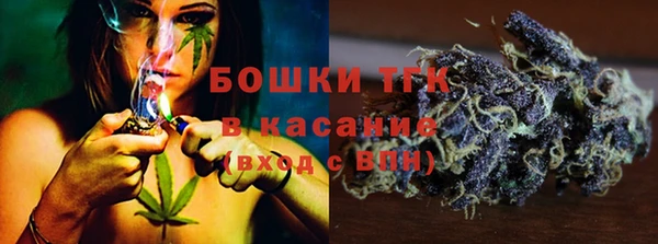 МДПВ Липки